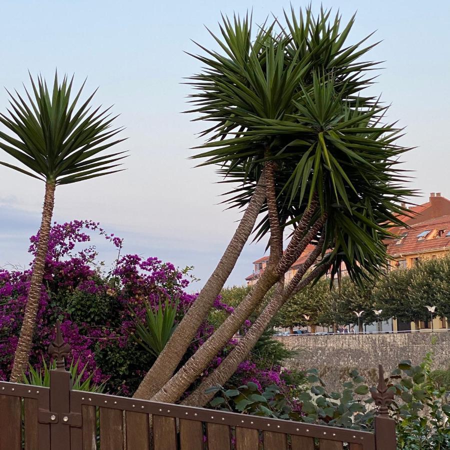 La Casa De Hierba - De Diseno Con Jardin Y Wifi Cerca De Playas De Villa