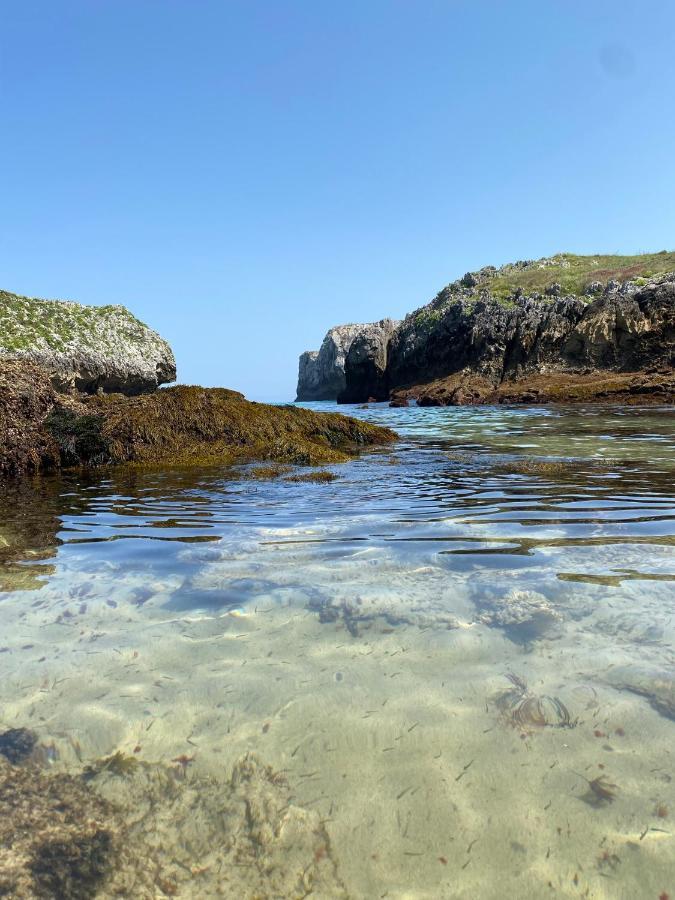 Villa La Casa De Hierba - De Diseno Con Jardin Y Wifi Cerca De Playas De Llanes